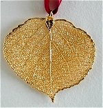 Aspen Leaf Gold Lace